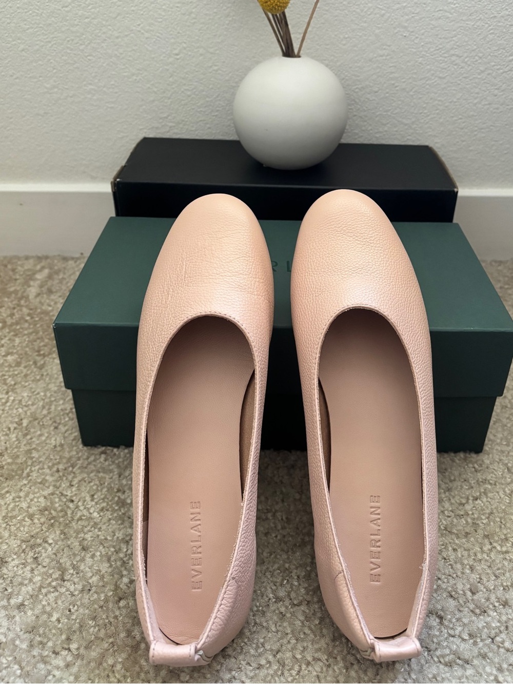 Everlane The Day Glove Flats Blush Ballet Flats in Light Pink Leather